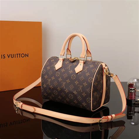 speedy 25 louis vuitton bag|louis vuitton speedy 25 price.